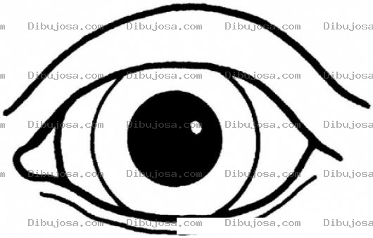 Dibujo para colorear Colorear Ojon