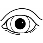 Dibujo para colorear Colorear Ojon