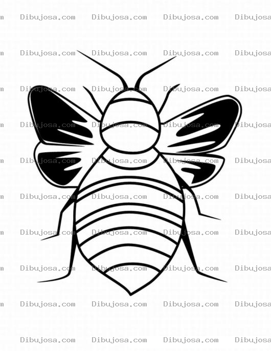 Dibujo para colorear Colorear Abeja