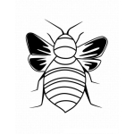 Dibujo para colorear Colorear Abeja