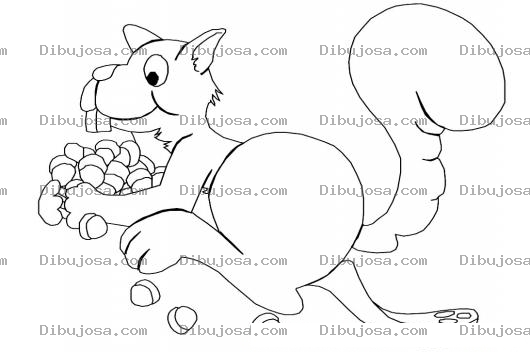Dibujo para colorear Colorear Ardilla Con Bollotas Y Nueces