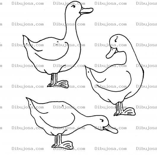Dibujo para colorear Colorear Tres Patos