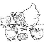 Dibujo para colorear Colorear Mamam Gallina Con Pollitos