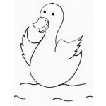 Dibujo para colorear Colorear Pato En El Agua