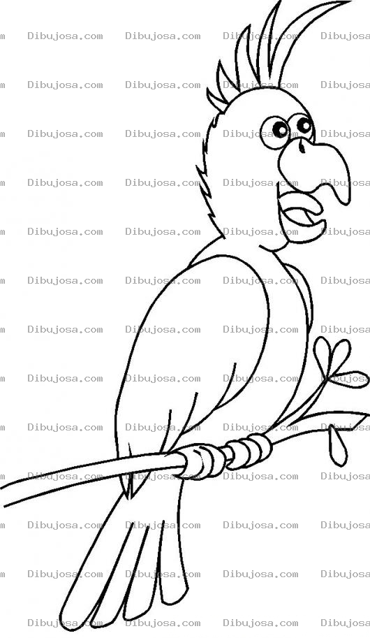 Dibujo para colorear Colorear Cotorra