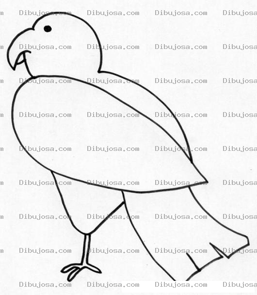 Dibujo para colorear Colorear Paloma
