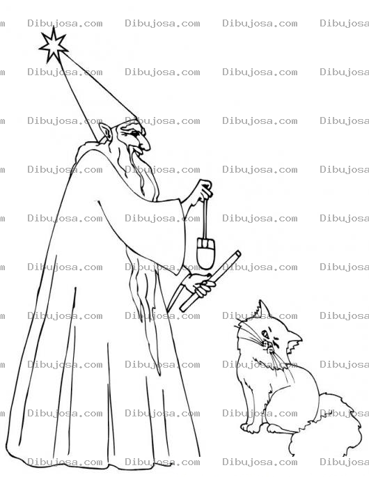Dibujo para colorear Colorear Mago Con Gato