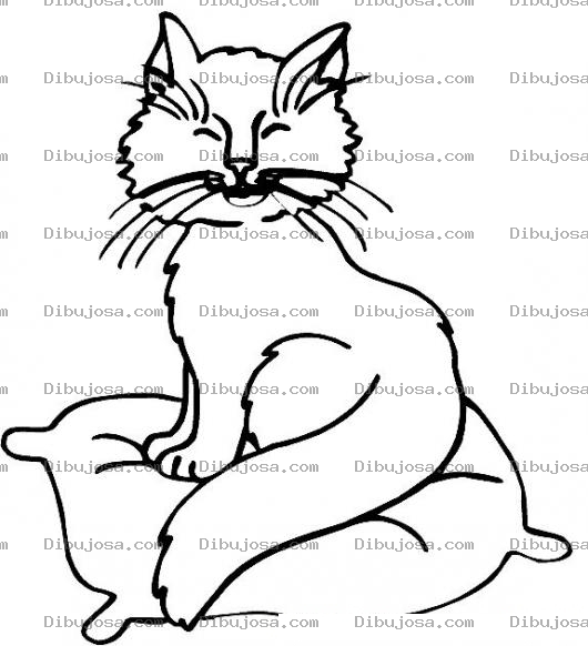 Dibujo para colorear Colorear Gato Sobre Almohada
