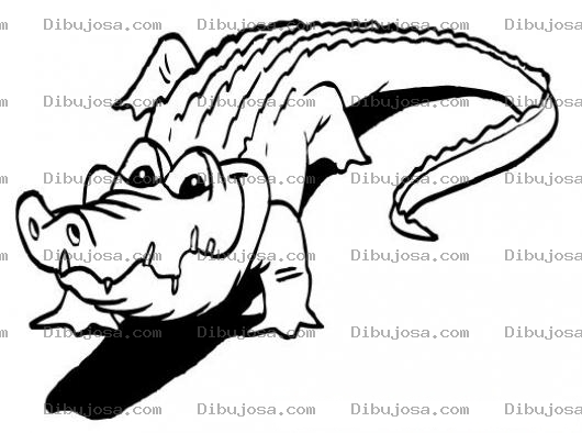 Dibujo para colorear Colorear Cocodrilo Hambriento