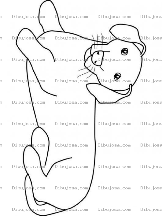 Dibujo para colorear Clorear Perrito Salchicha