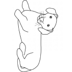 Dibujo para colorear Clorear Perrito Salchicha