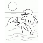 Dibujo para colorear Delfines Jugando Para Colorear