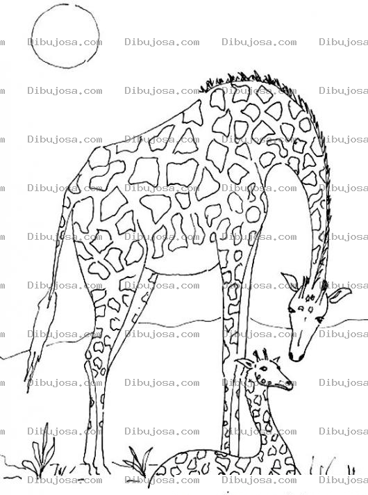 Dibujo para colorear Colorear Mama Jirafa Y Su Hija Jirafita