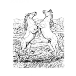 Dibujo para colorear Colorear Caballos Peleando