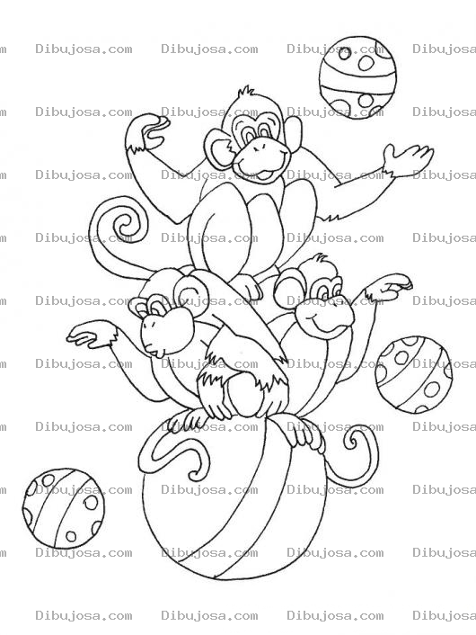 Dibujo para colorear Colorear Monos Malabaristas Haciendo Malavares Con Pelotas