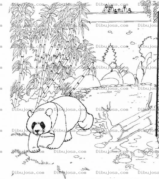 Dibujo para colorear Colorear Oso Panda En Zoologico