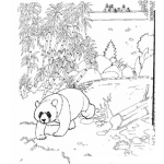 Dibujo para colorear Colorear Oso Panda En Zoologico