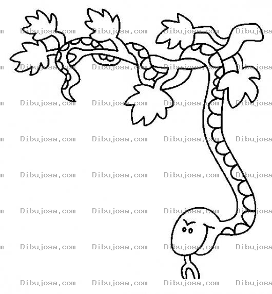 Dibujo para colorear Culebra En Arbol Para Pintar