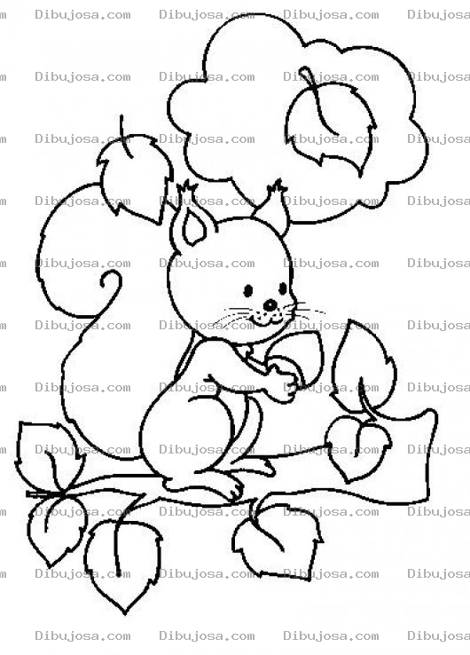 Dibujo para colorear Colorear Ardillita En Rama
