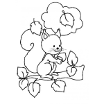 Dibujo para colorear Colorear Ardillita En Rama