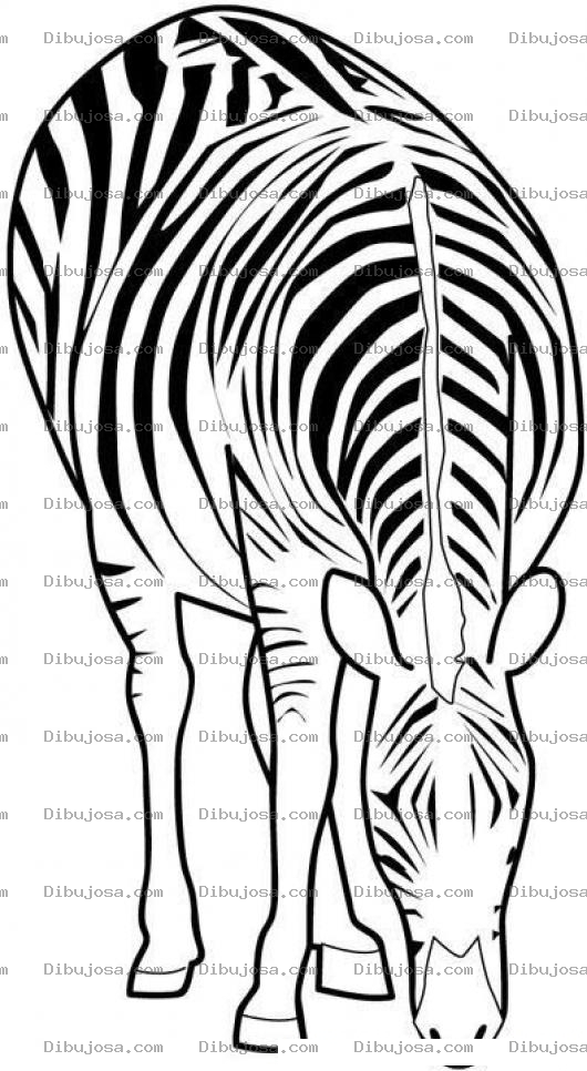 Dibujo para colorear Colorear Cebra Comiendo