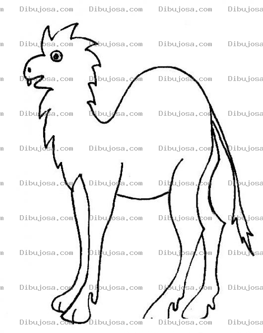Dibujo para colorear Camello Punk Para Colorear