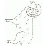 Dibujo para colorear Dibujo De Un Carnero Para Colorear