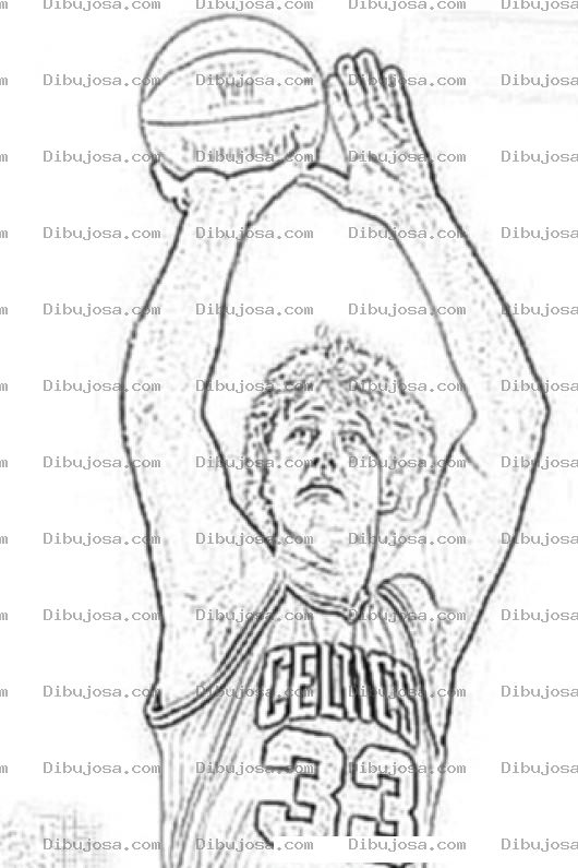 Dibujo para colorear Larry Bird Para Colorear Y Pintar