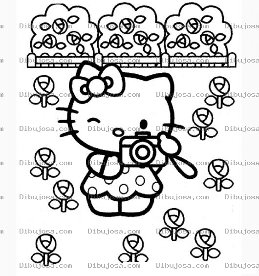 Dibujo para colorear hello kitty tomando fotos