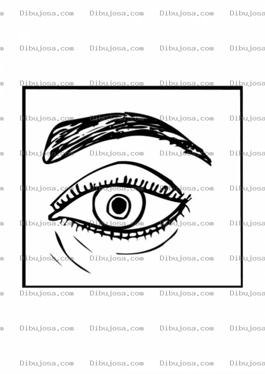 Dibujo para colorear Colorear Ojo Y Ceja