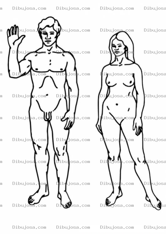 Dibujo para colorear Colorear Cuerpos Humanos De Hombre Y De Mujer