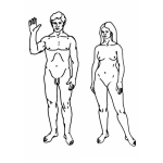 Dibujo para colorear Colorear Cuerpos Humanos De Hombre Y De Mujer