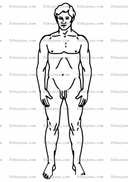 Dibujo para colorear Dibujo Del Cuerpo Humanocolorear