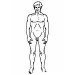 Dibujo para colorear Dibujo Del Cuerpo Humanocolorear