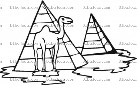 Dibujo para colorear Colorear Camello En Piramides De Egipto