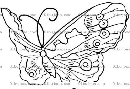 Dibujo para colorear mariposa volando para colorear