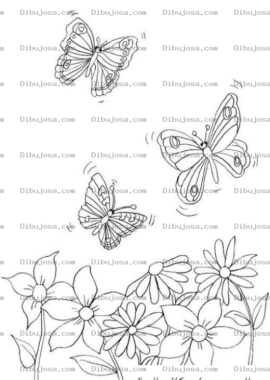 Dibujo para colorear mariposas con flores para colorear