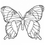 Dibujo para colorear mariposa para dibujar
