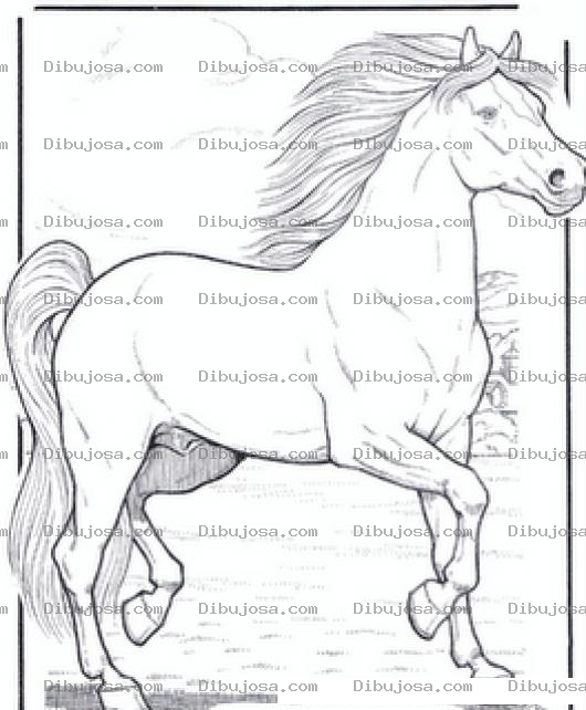 Dibujo para colorear Caballo Hermoso Y Saludable Para Pintar