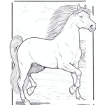 Dibujo para colorear Caballo Hermoso Y Saludable Para Pintar