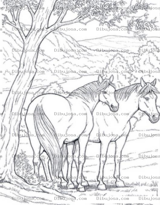 Dibujo para colorear Dibujo De Una Pareja De Caballos Abajo De Un Arbol Para Colorear