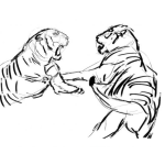 Dibujo para colorear Pelea De Tigres Para Colorear