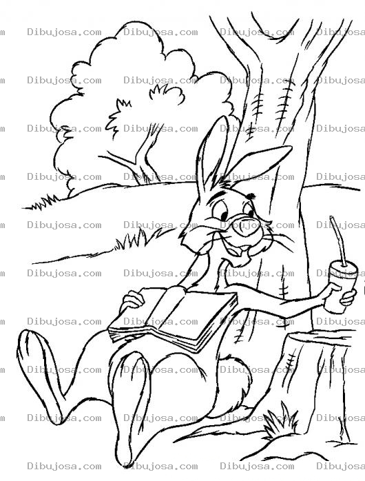 Dibujo para colorear Colorear a conijin el conejo de winnipooh