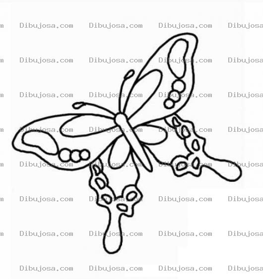 Dibujo para colorear mariposa mediana para dibujar