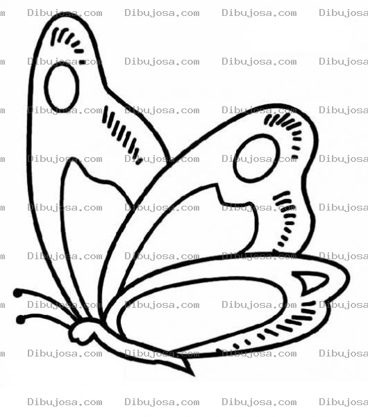 Dibujo para colorear mariposa grande para pintar
