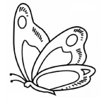 Dibujo para colorear mariposa grande para pintar