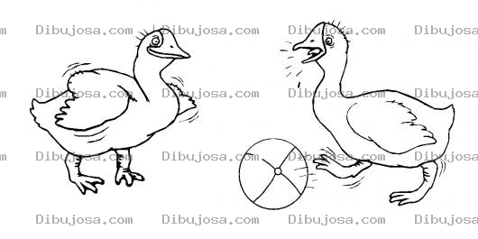 Dibujo para colorear Colorear Patos Jugando Pelota