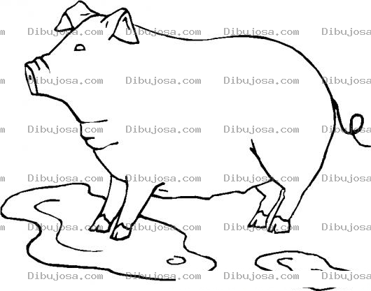Dibujo para colorear Colorear Cerdo En Un Charco