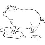 Dibujo para colorear Colorear Cerdo En Un Charco