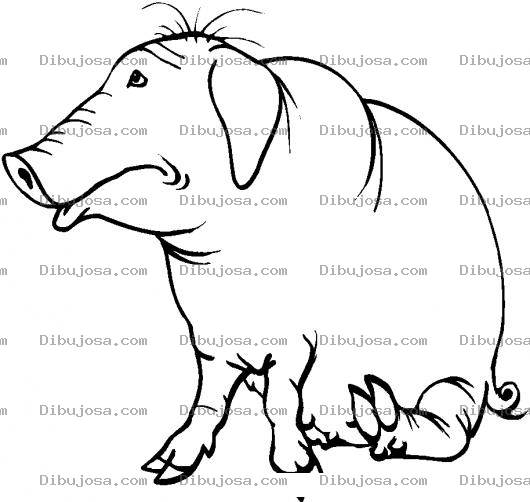 Dibujo para colorear Colorear Cerdo Cansado